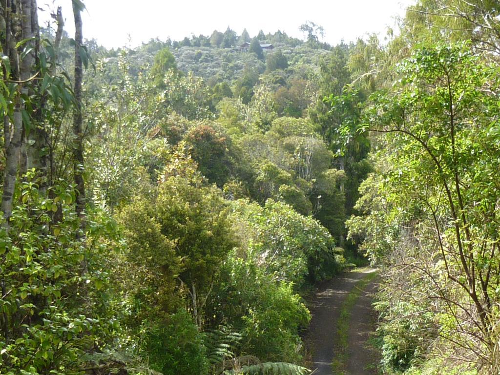 Fern Ridge Hideaway Βίλα Victoria Valley Εξωτερικό φωτογραφία