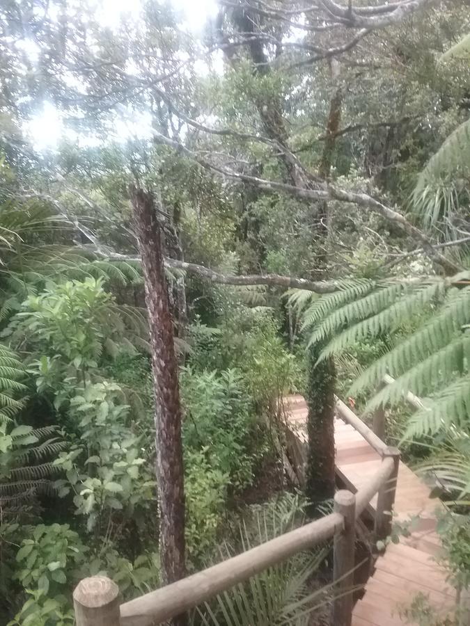 Fern Ridge Hideaway Βίλα Victoria Valley Εξωτερικό φωτογραφία